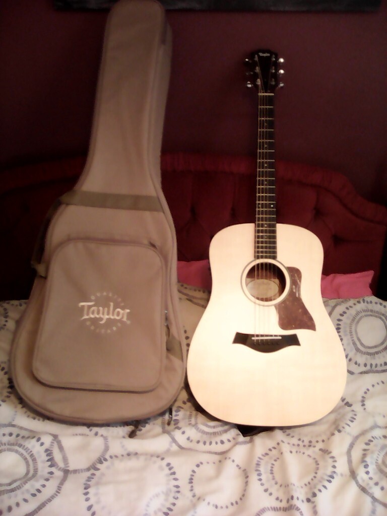 taylor guitar soft case